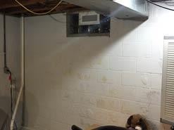 Basement Doctor Plus Epoxy Saves Nasty Basement | Columbus Ohio