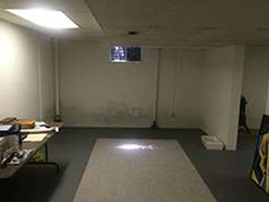 Ugly, Moldy Basement Walls | Columbus, OH