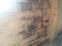 Waterproofing and Epoxy Installation | Whitehall, OH | Before